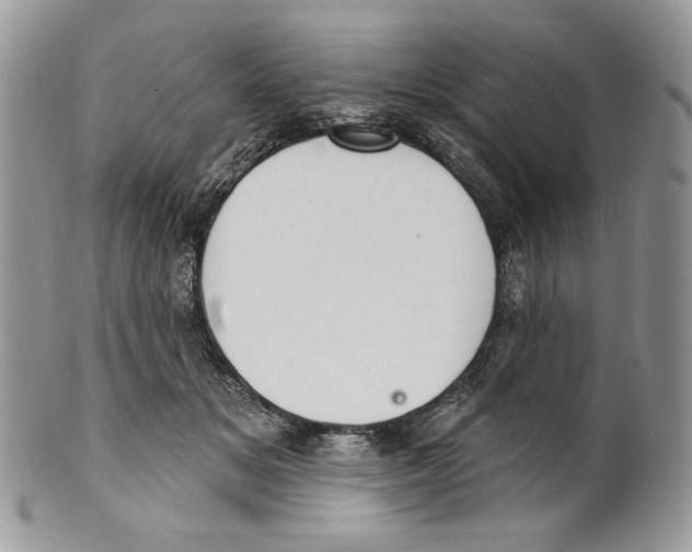 X0000101150509200807251051