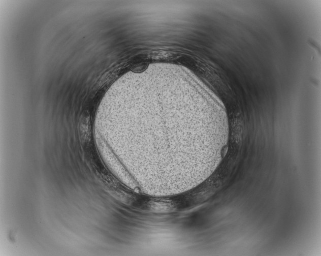 X0000101150510200807251051