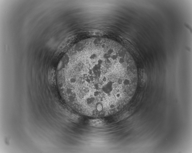 X0000101150511200807251051
