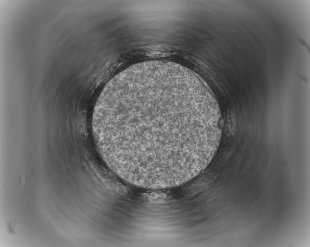 X0000101150512200807251051