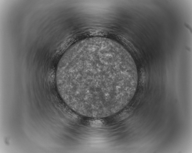X0000101150513200807251051
