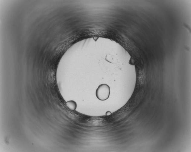 X0000101150514200807251051