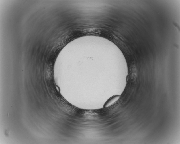 X0000101150515200807251051