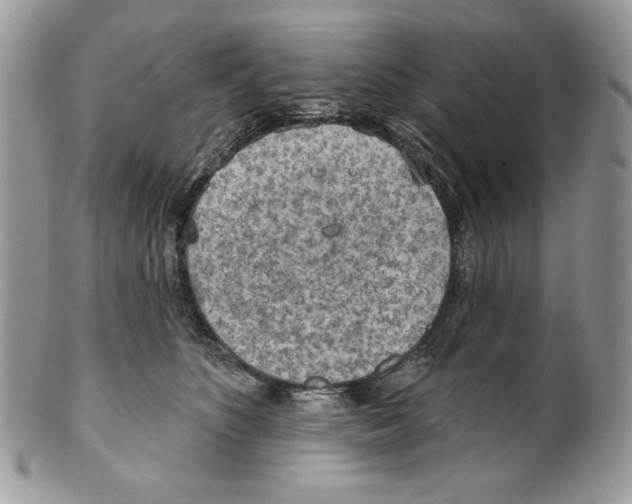 X0000101150516200807251051