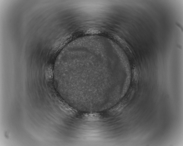 X0000101150517200807251051