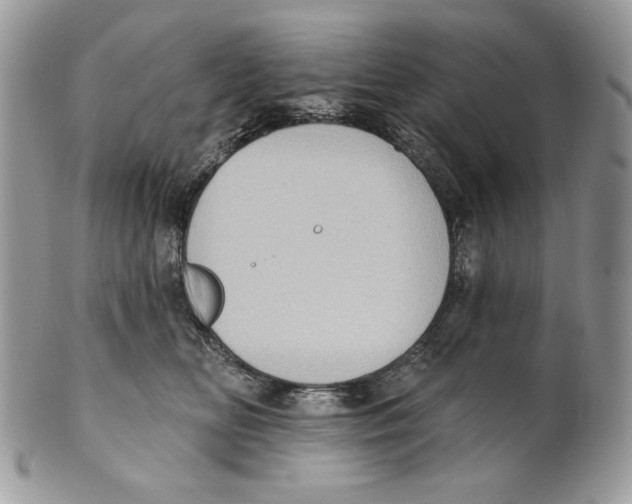 X0000101150518200807251051