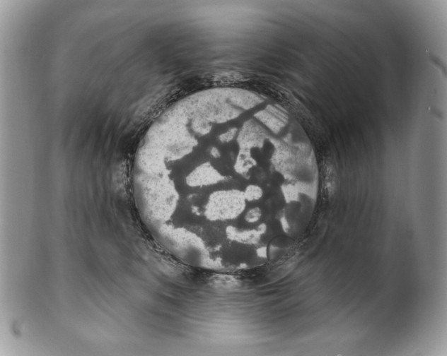 X0000101150519200807251051