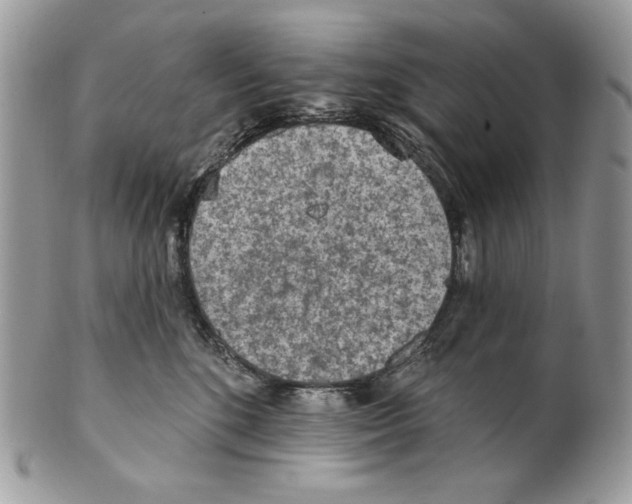 X0000101150520200807251051