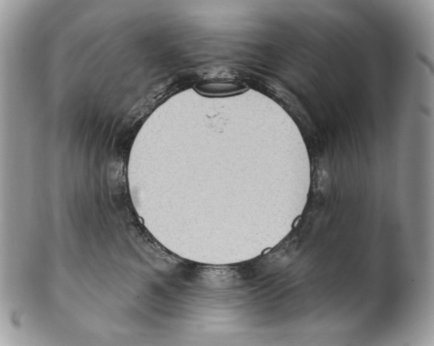 X0000101150521200807251051