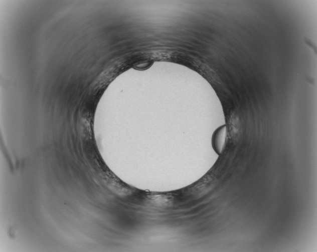 X0000101150522200807251051