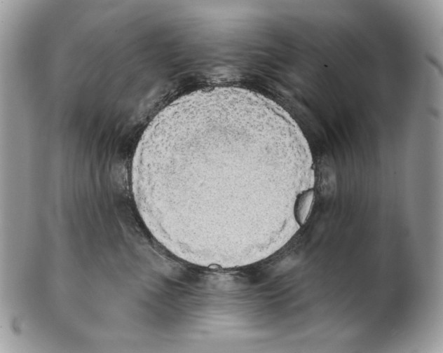 X0000101150523200807251051