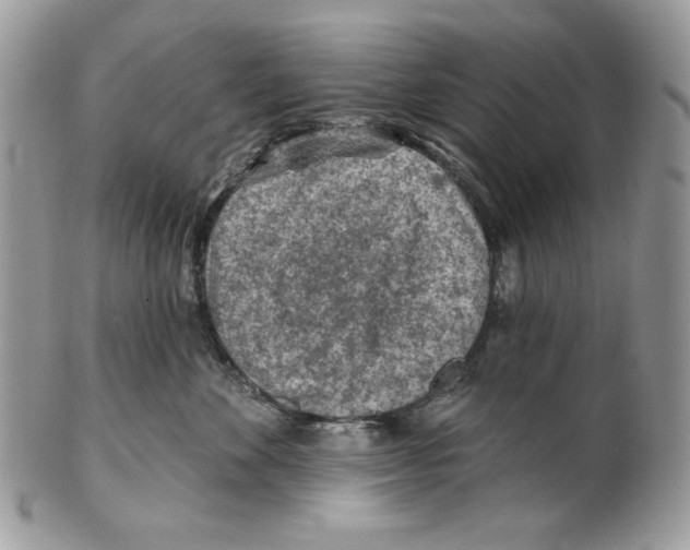 X0000101150524200807251051