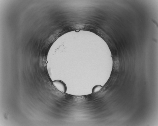 X0000101150525200807251051