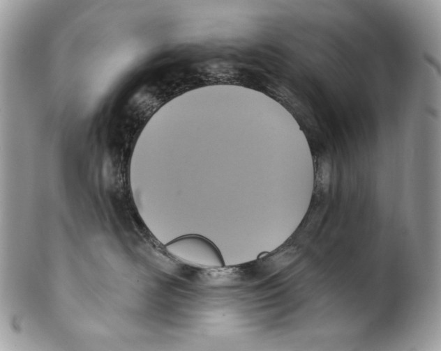 X0000101150526200807251051