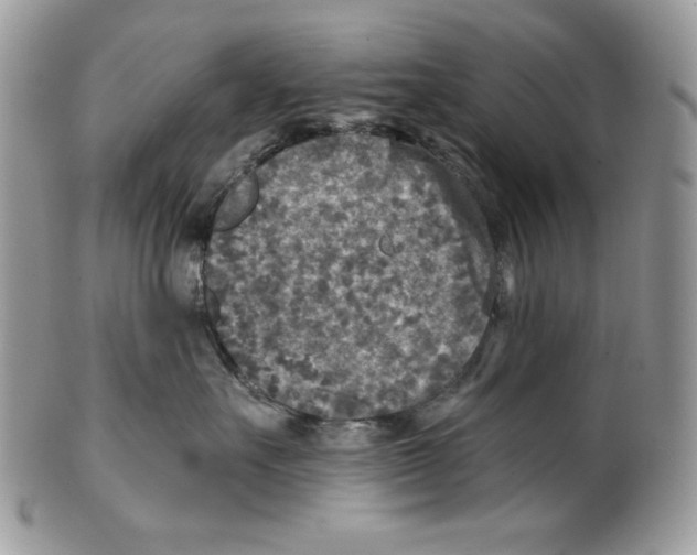 X0000101150527200807251051