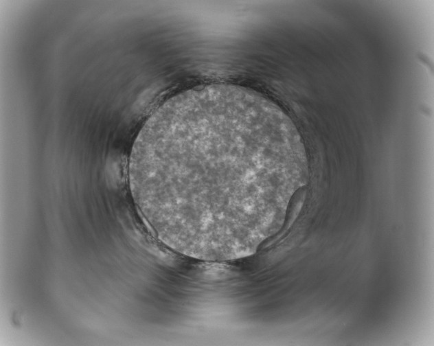 X0000101150528200807251051