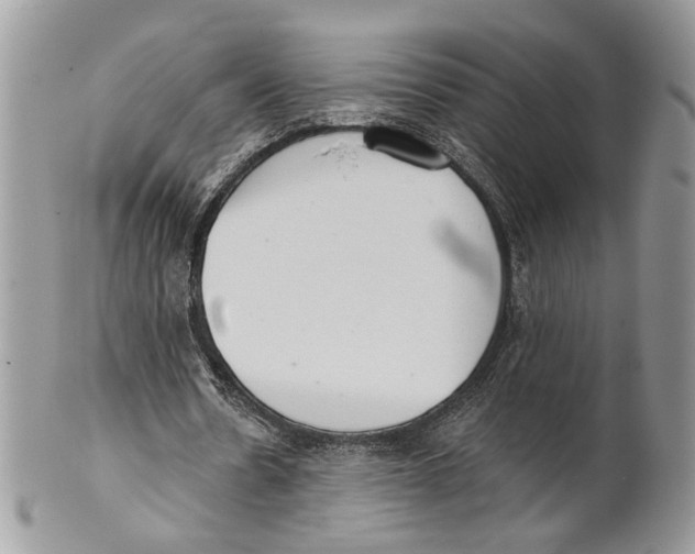 X0000101150530200807251050