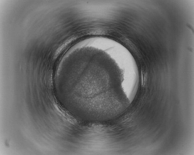X0000101150531200807251050