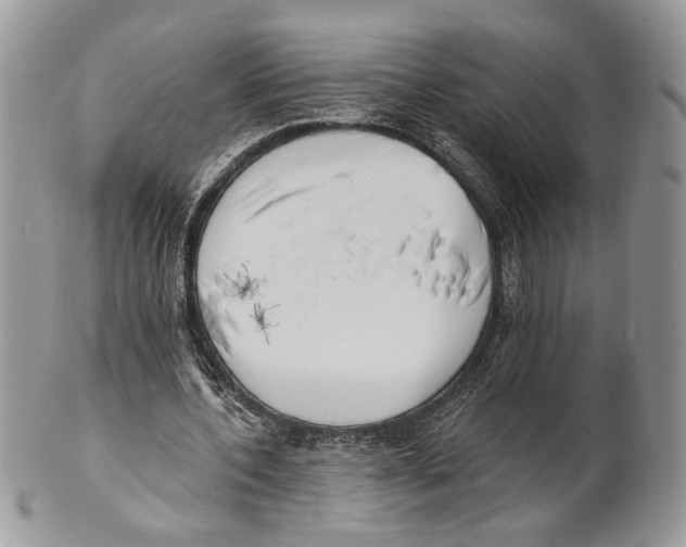 X0000101150532200807251050