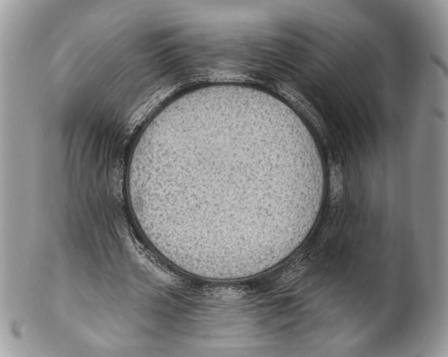 X0000101150533200807251050
