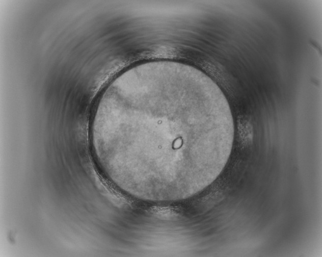 X0000101150534200807251050