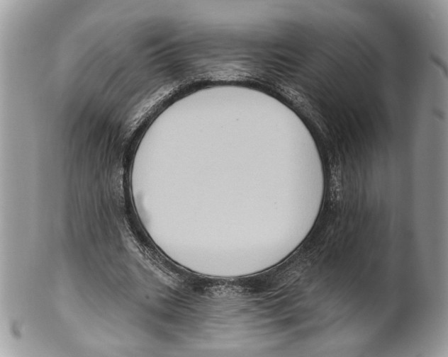 X0000101150535200807251050