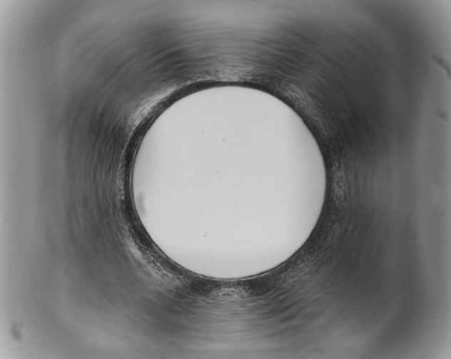 X0000101150536200807251050