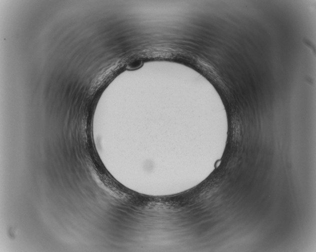 X0000101150538200807251050