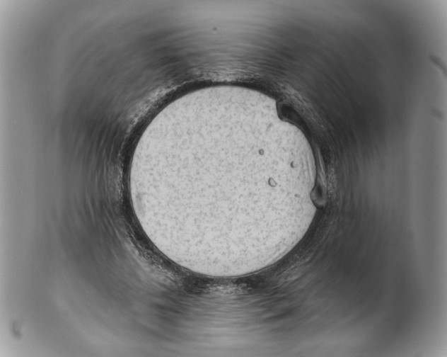 X0000101150540200807251050