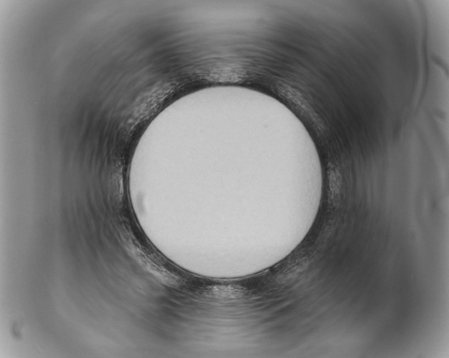 X0000101150541200807251050