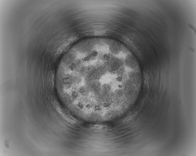 X0000101150542200807251050