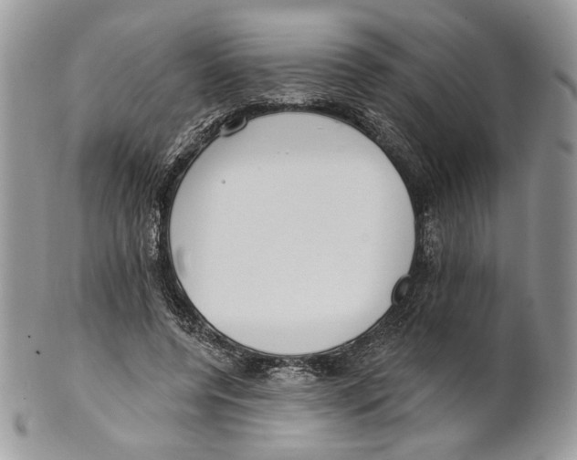 X0000101150544200807251050