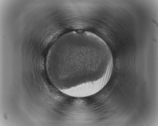 X0000101150547200807251050