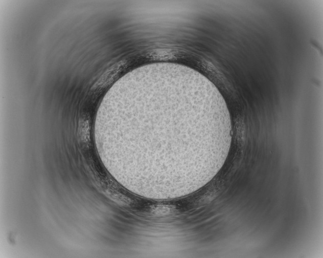X0000101150549200807251050