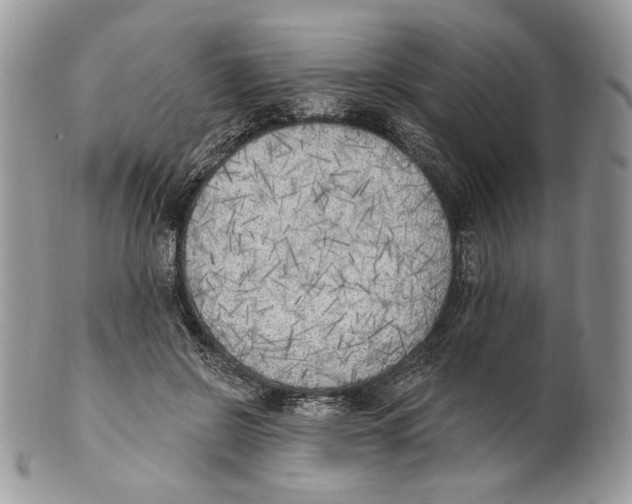 X0000101150550200807251050