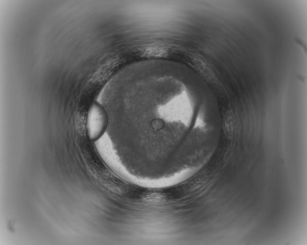 X0000101150551200807251050