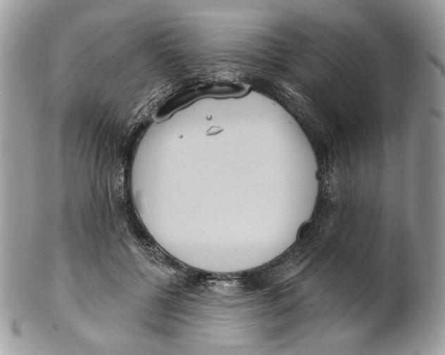 X0000101150552200807251050