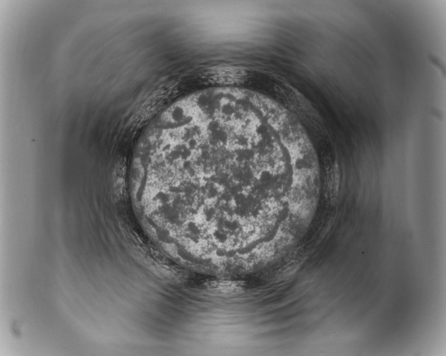 X0000101150553200807251050