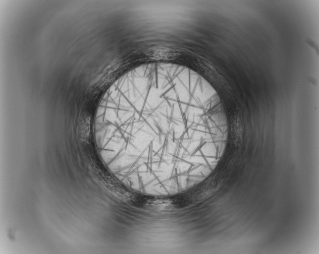 X0000101150554200807251050