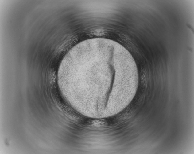 X0000101150555200807251050