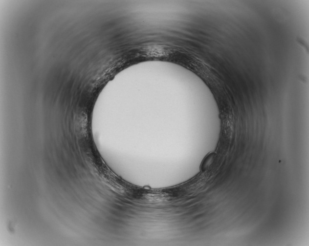 X0000101150556200807251050