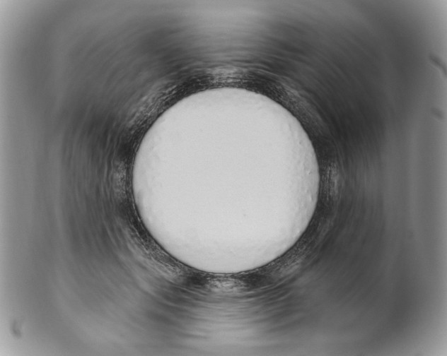 X0000101150557200807251050