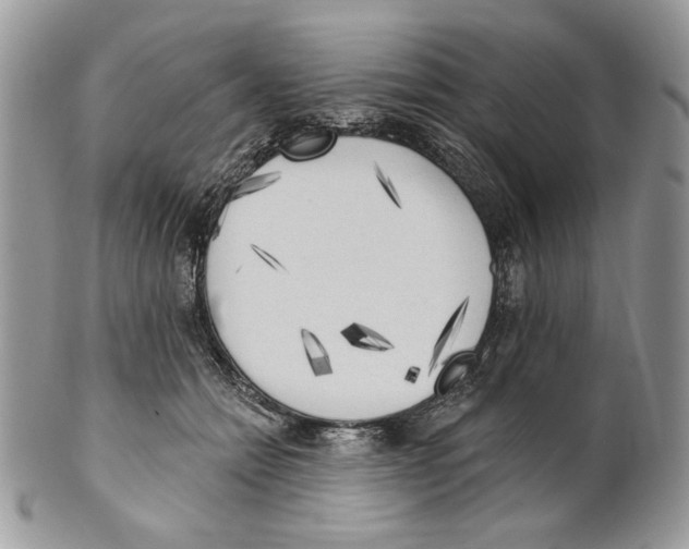 X0000101150558200807251050