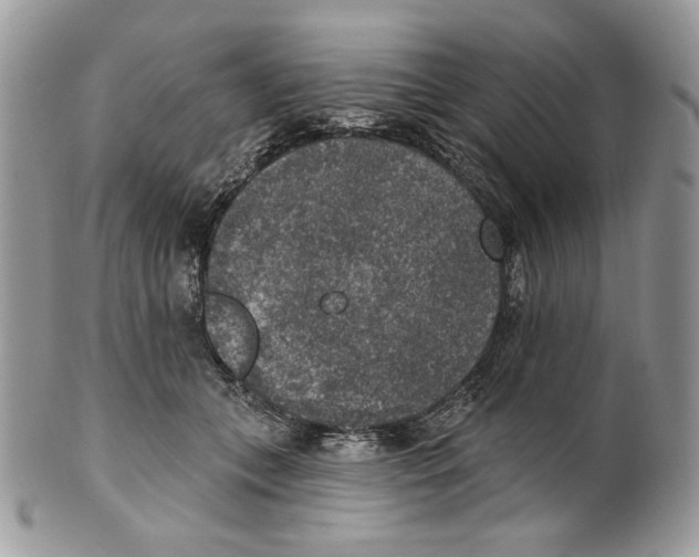 X0000101150559200807251050