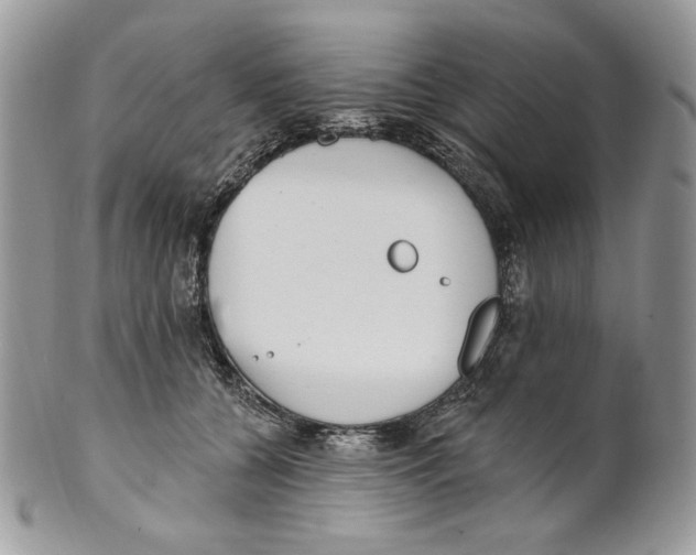 X0000101150560200807251050