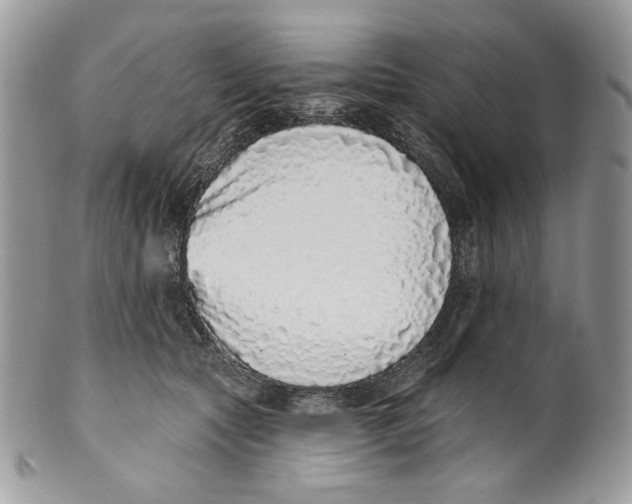 X0000101150561200807251050