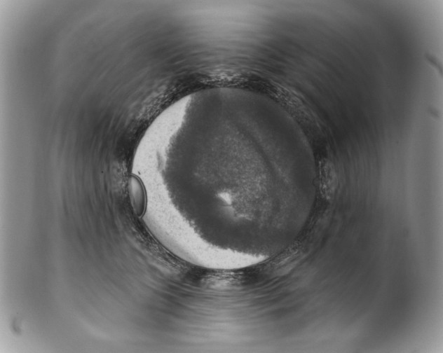 X0000101150563200807251050