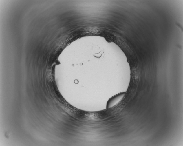 X0000101150564200807251050