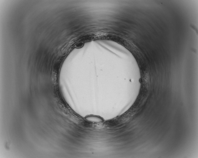 X0000101150565200807251051