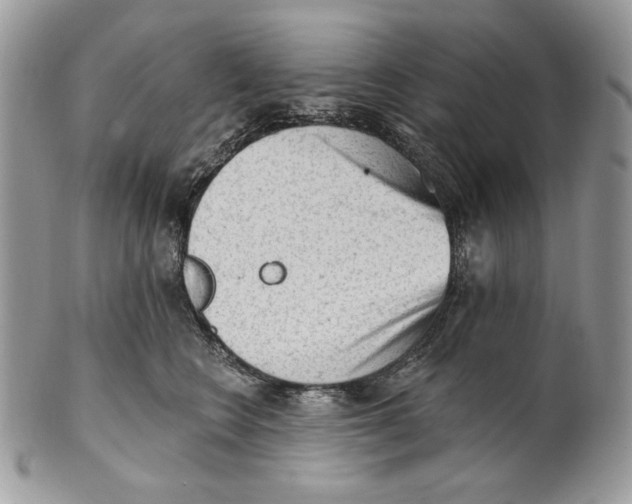 X0000101150566200807251051